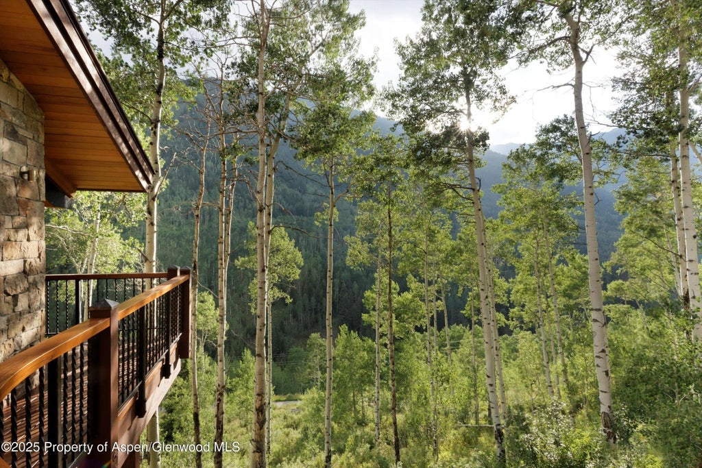 38 of 53 - 6770 Castle Creek Road, Aspen, CO