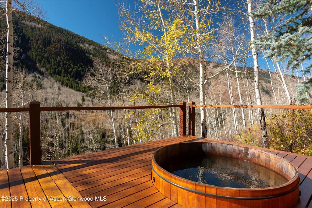 48 of 53 - 6770 Castle Creek Road, Aspen, CO