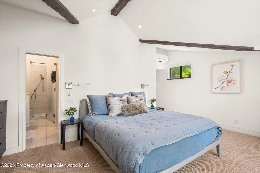 25 of 42 - 155 Lone Pine Road /river Bluff C2, Aspen, CO