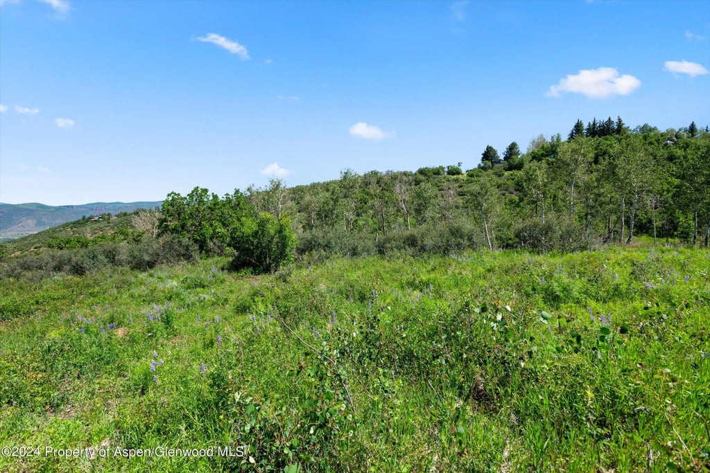 10 of 48 - Tbd Trentaz Drive, Aspen, CO