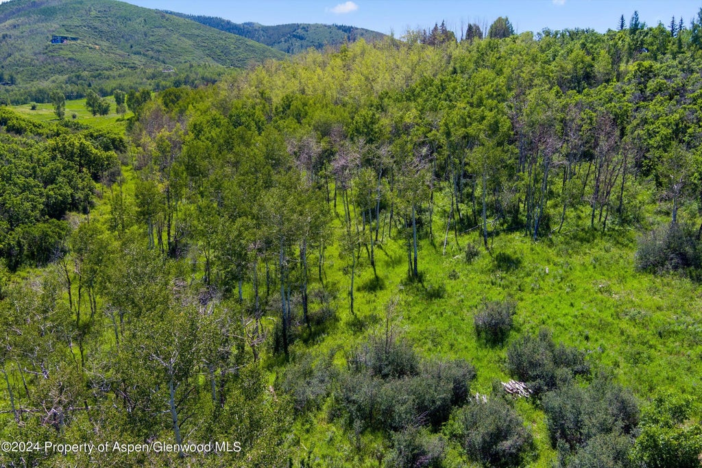 11 of 48 - Tbd Trentaz Drive, Aspen, CO