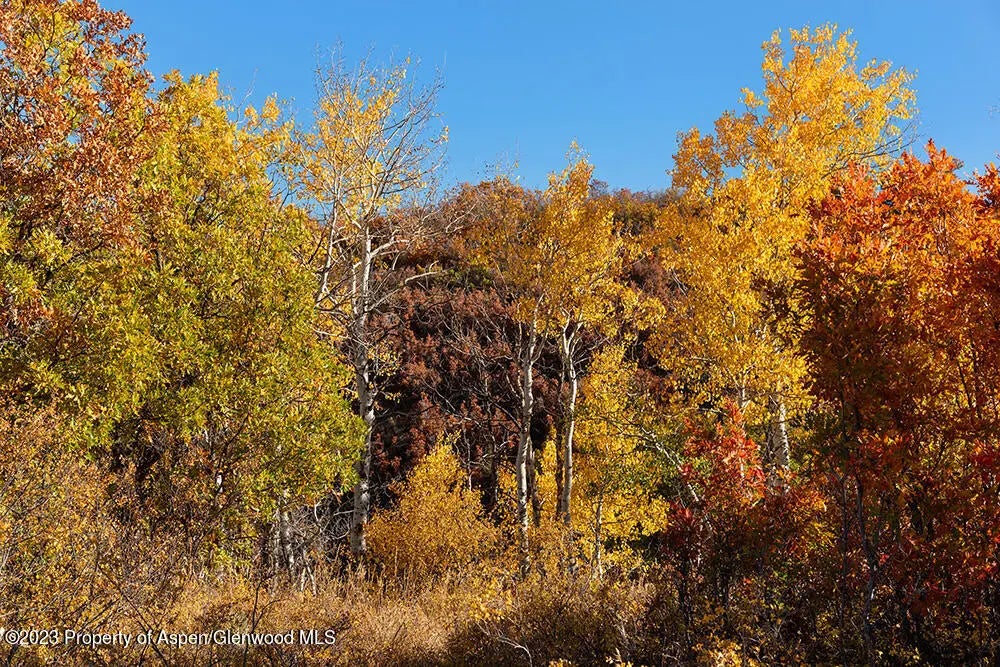 39 of 48 - Tbd Trentaz Drive, Aspen, CO