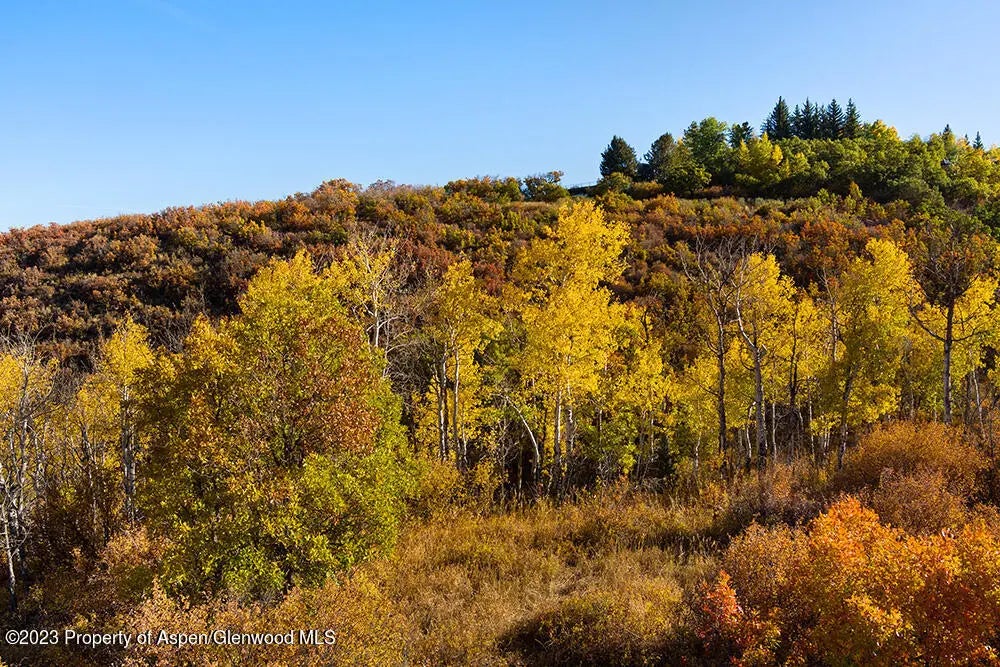 40 of 48 - Tbd Trentaz Drive, Aspen, CO