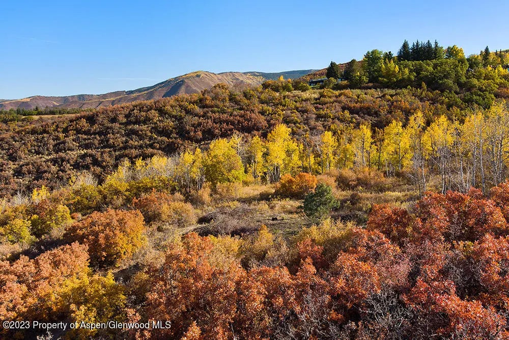 46 of 48 - Tbd Trentaz Drive, Aspen, CO