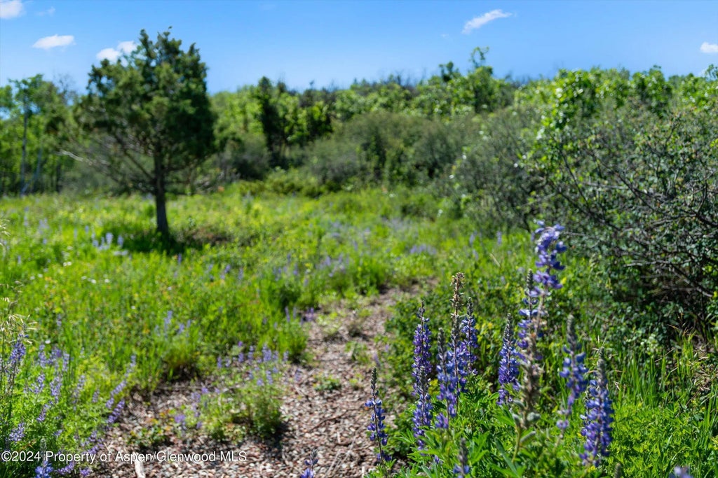 5 of 48 - Tbd Trentaz Drive, Aspen, CO
