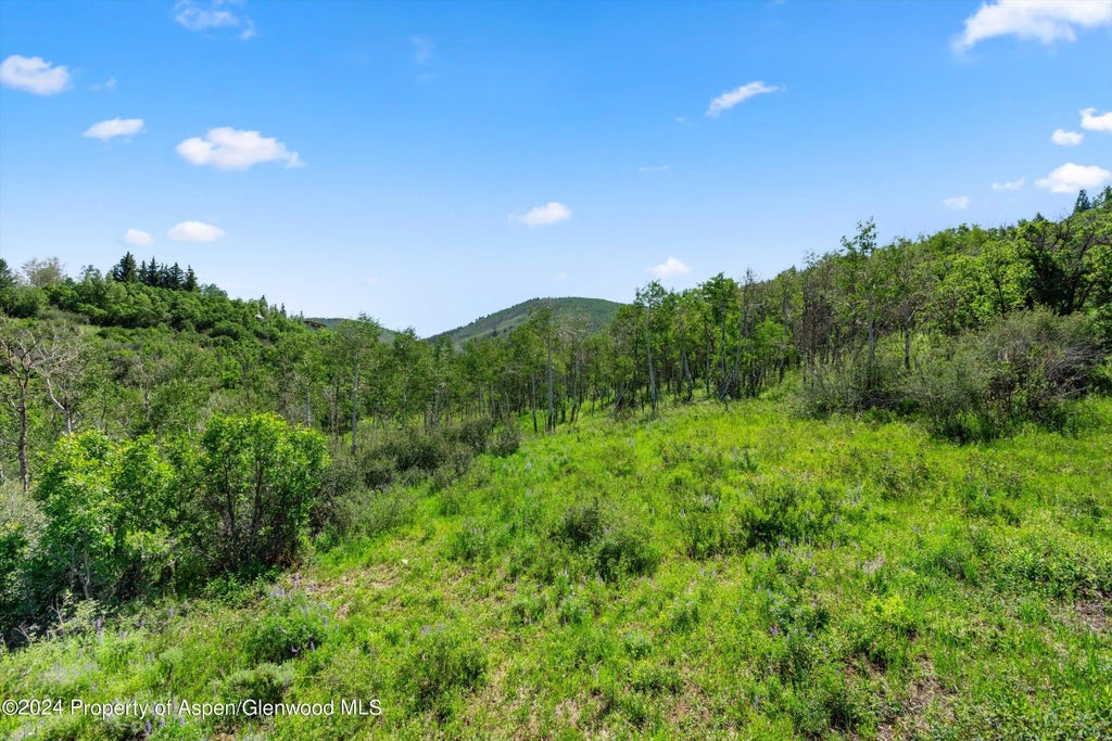 8 of 48 - Tbd Trentaz Drive, Aspen, CO