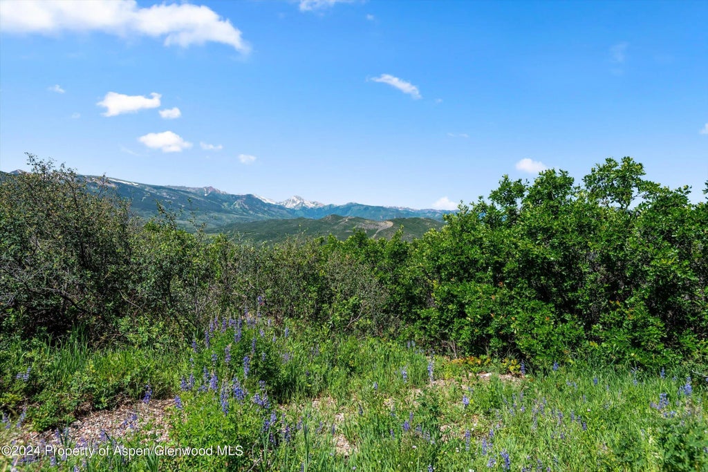 9 of 48 - Tbd Trentaz Drive, Aspen, CO