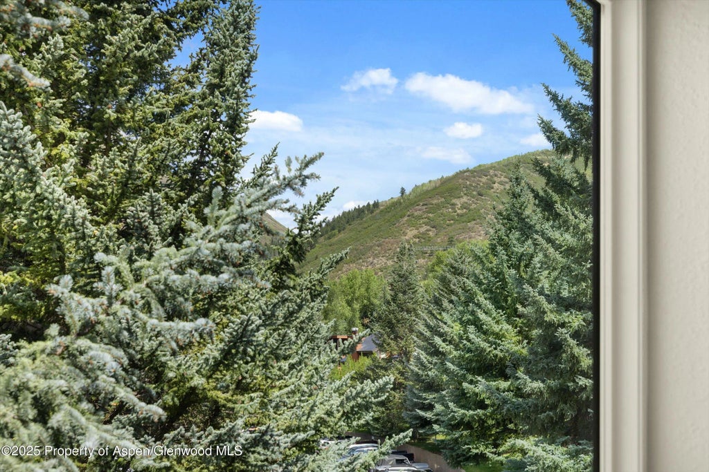 18 of 24 - 950 Vine Street, Aspen, CO