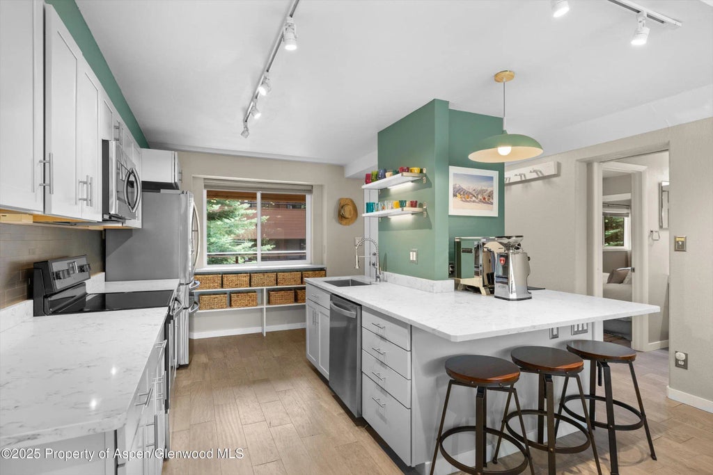 6 of 24 - 950 Vine Street, Aspen, CO