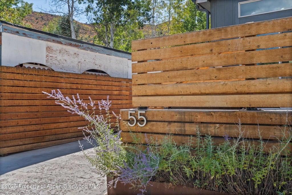 44 of 47 - 55 Bear Trail, Aspen, CO