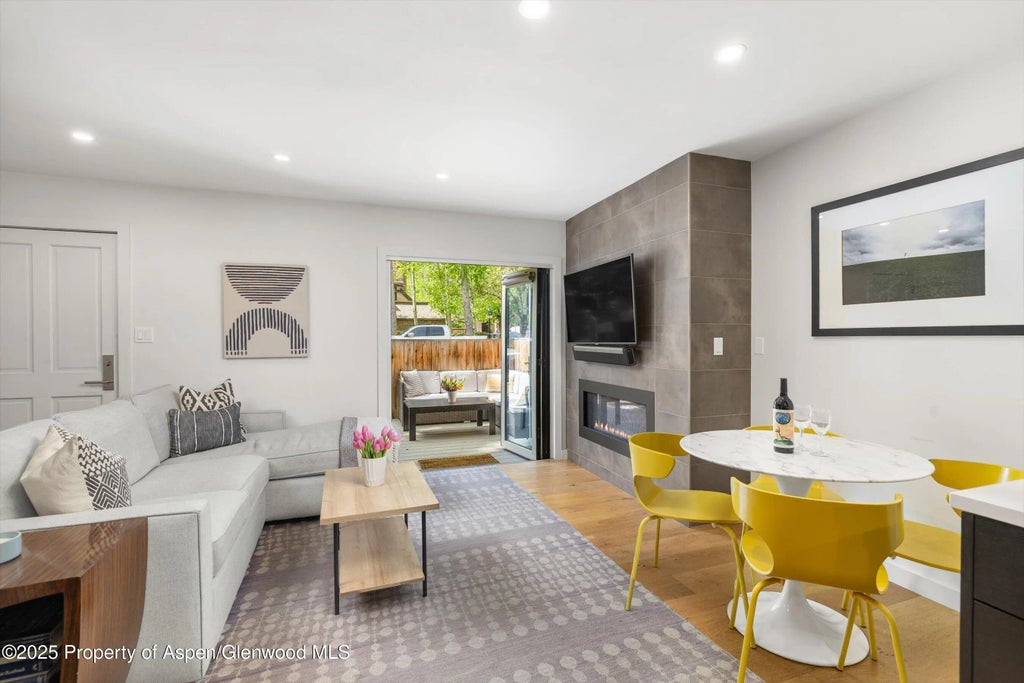 250 S Original Street B, Aspen