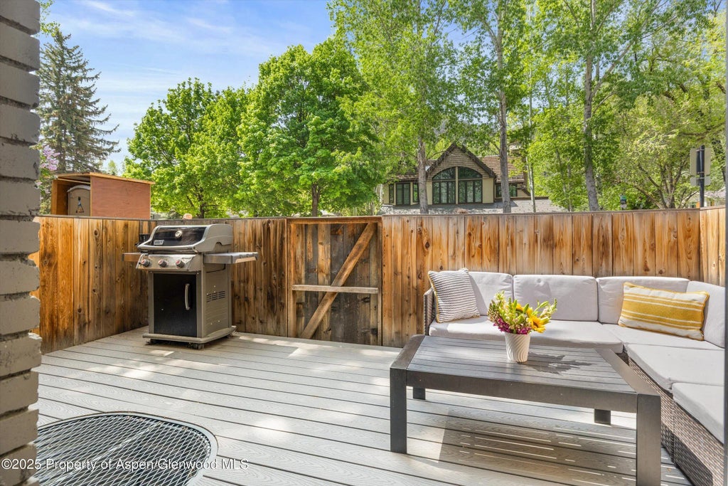 6 of 20 - 250 S Original Street B, Aspen, CO