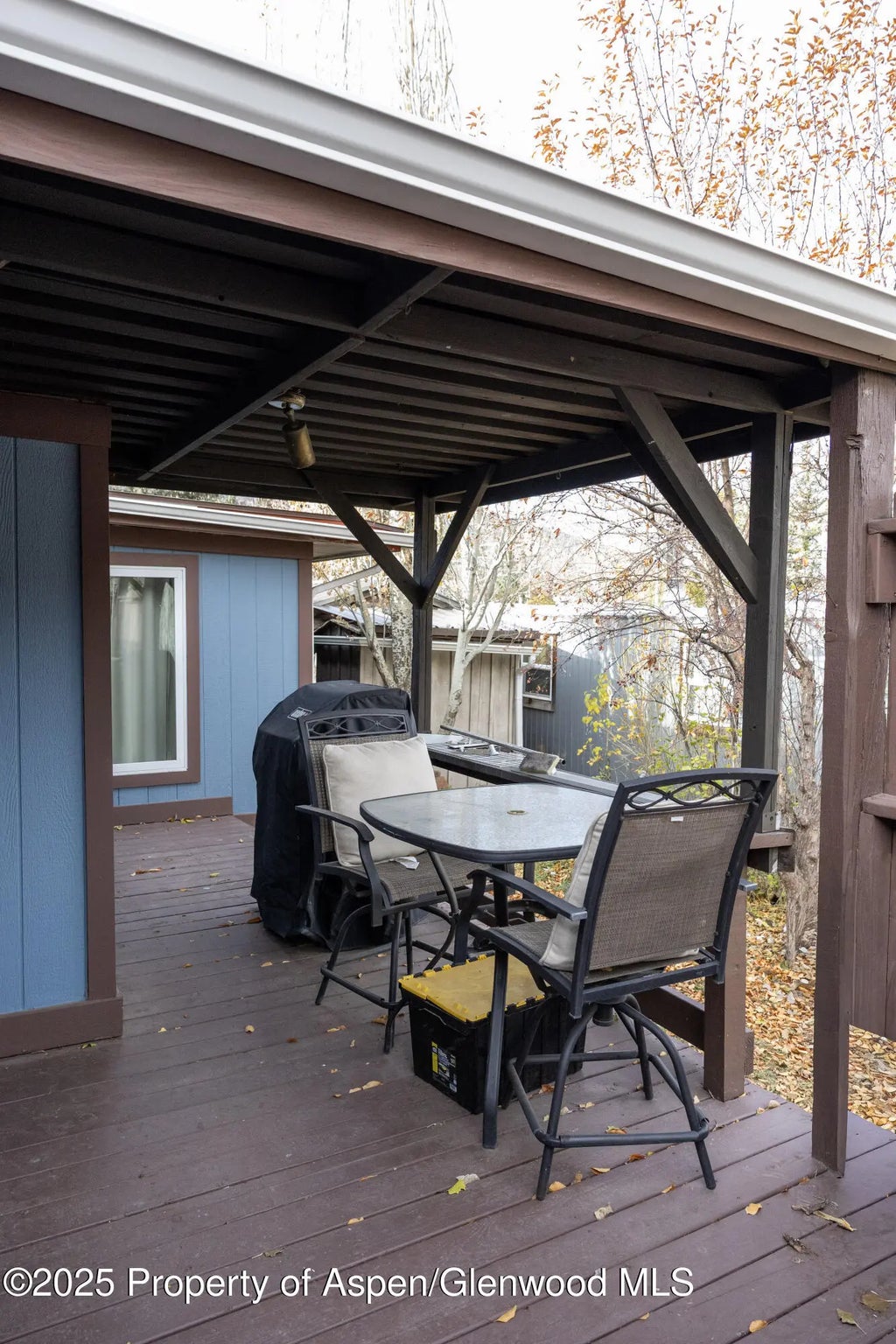 10 of 34 - 14 Bear Trail, Aspen, CO