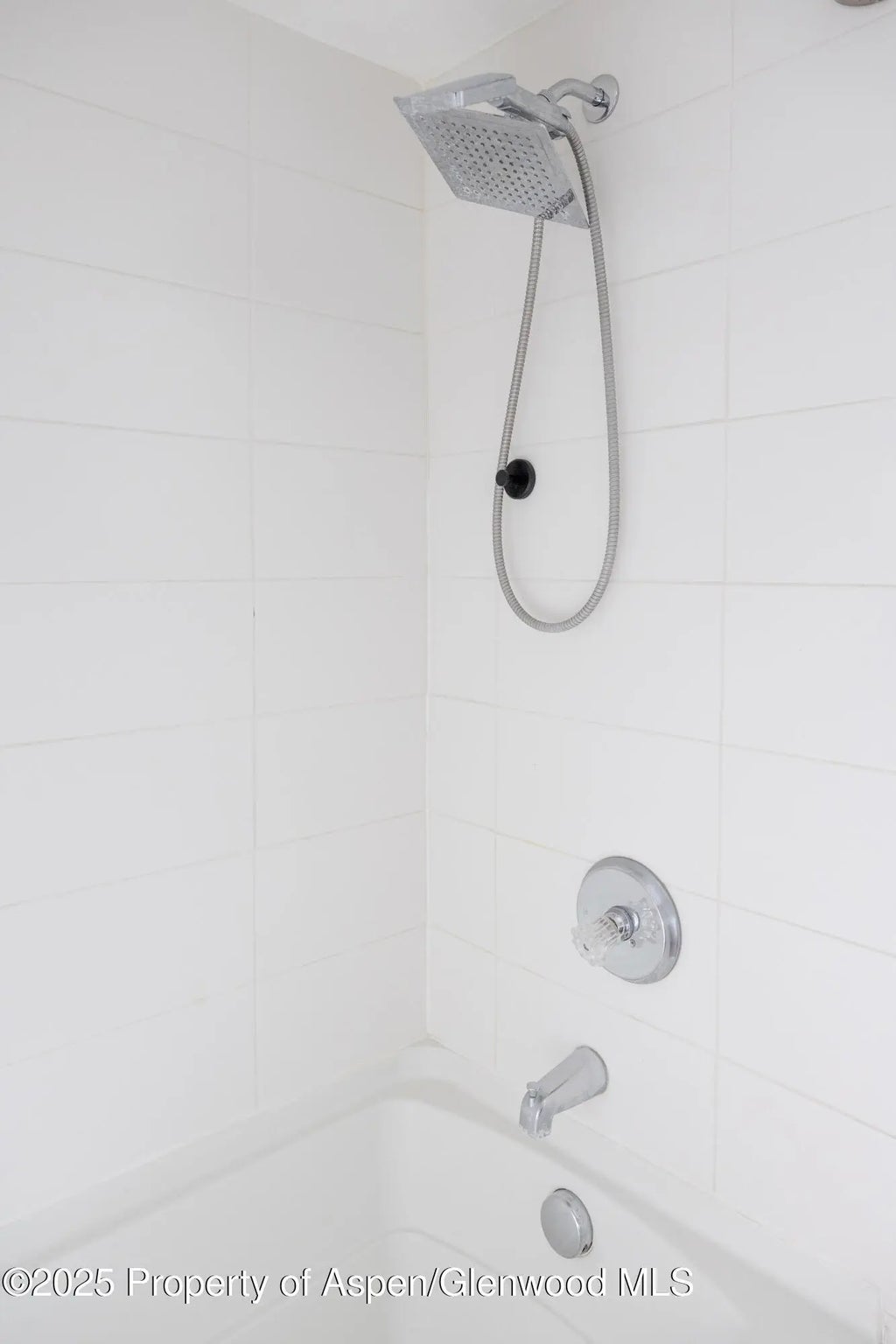 33 of 34 - 14 Bear Trail, Aspen, CO