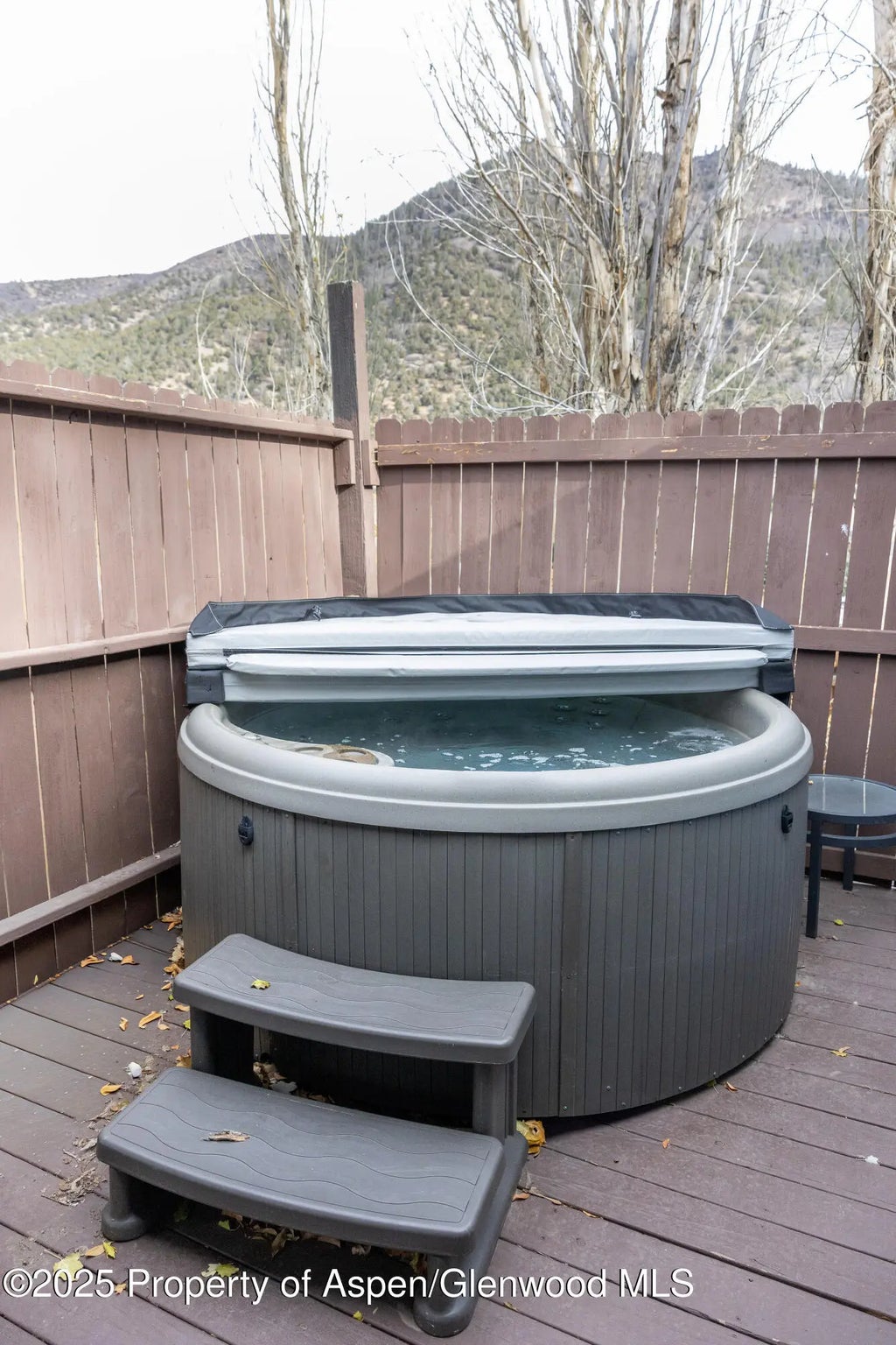 9 of 34 - 14 Bear Trail, Aspen, CO