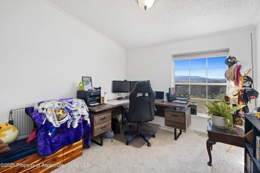 12 of 30 - 260 Lazy S Reverse S Drive, New Castle, CO