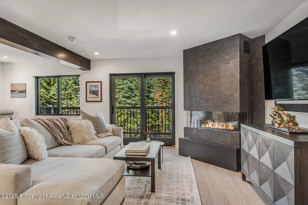 650 S Monarch Street Unit 7, Aspen