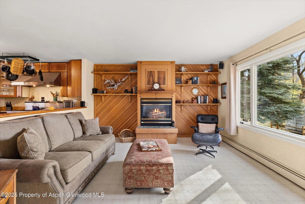 9 of 35 - 451 Euclid Avenue, Carbondale, CO