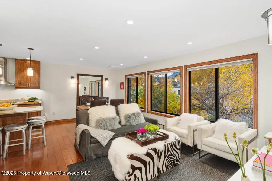 725 E Main Street 309, Aspen