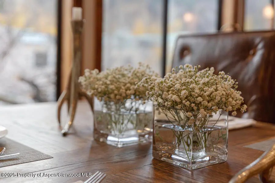 10 of 49 - 725 E Main Street 309, Aspen, CO