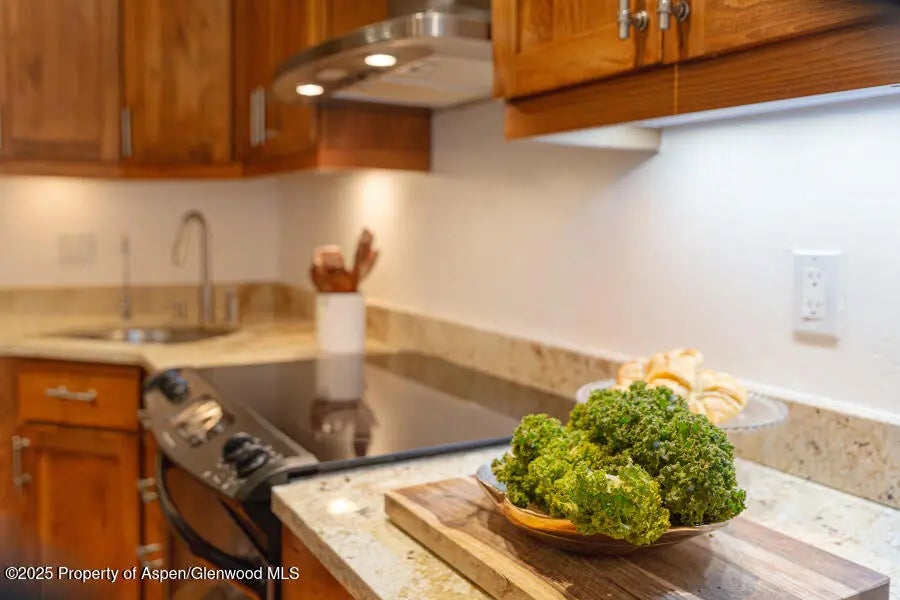 17 of 49 - 725 E Main Street 309, Aspen, CO