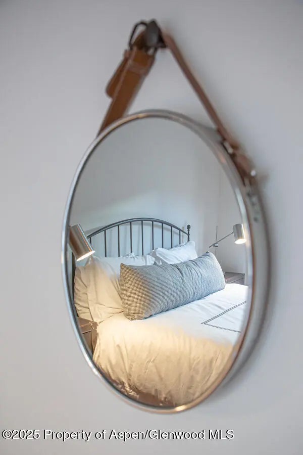 31 of 49 - 725 E Main Street 309, Aspen, CO