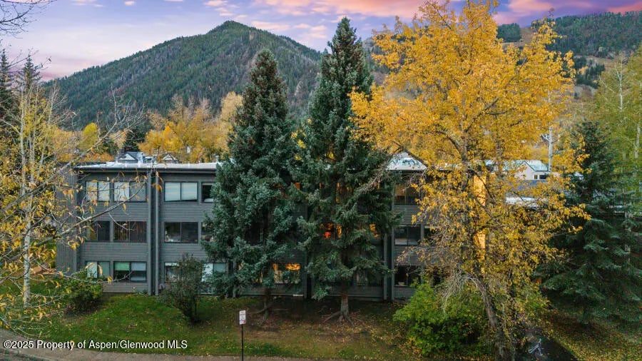 37 of 49 - 725 E Main Street 309, Aspen, CO