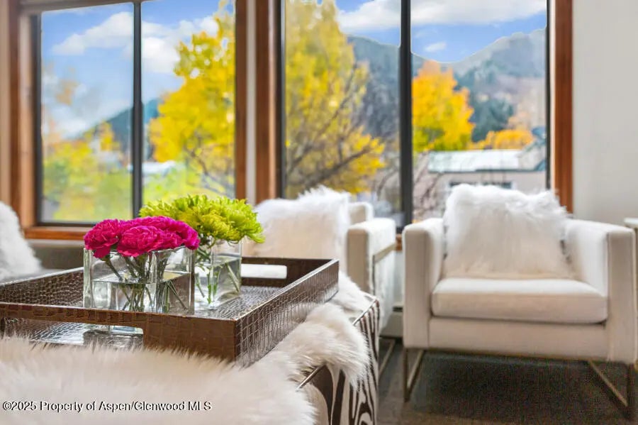 4 of 49 - 725 E Main Street 309, Aspen, CO