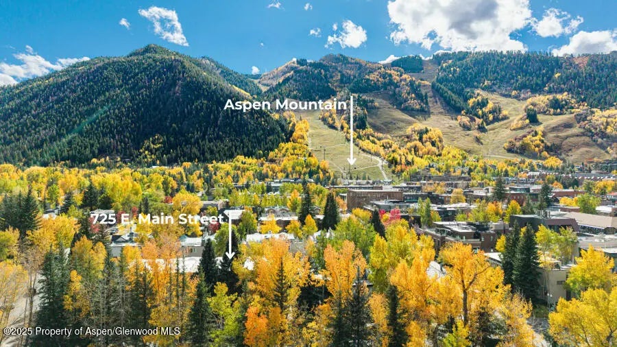 40 of 49 - 725 E Main Street 309, Aspen, CO