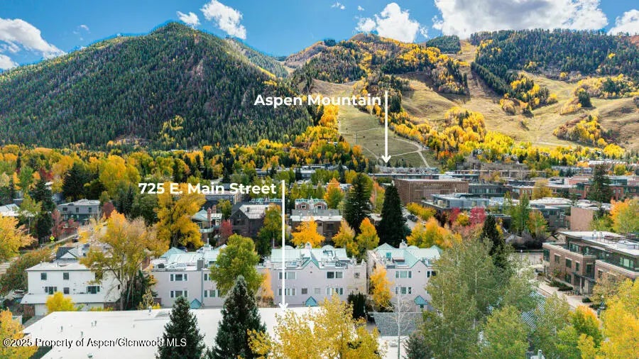 41 of 49 - 725 E Main Street 309, Aspen, CO