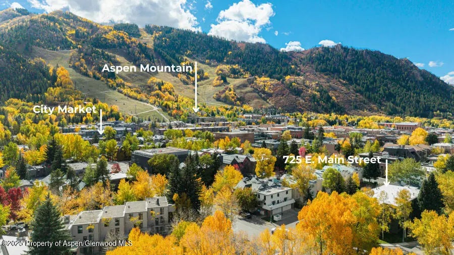 42 of 49 - 725 E Main Street 309, Aspen, CO