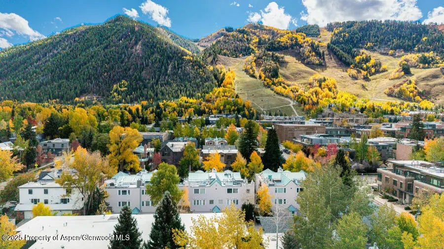43 of 49 - 725 E Main Street 309, Aspen, CO