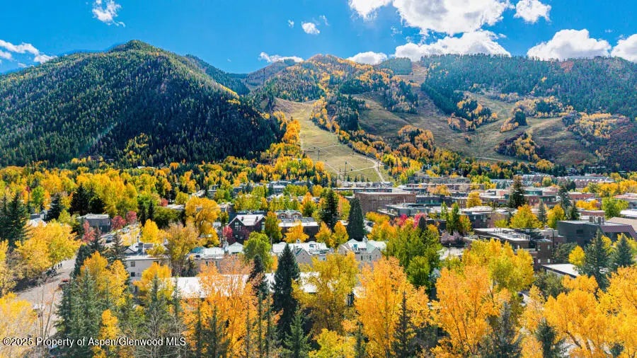 44 of 49 - 725 E Main Street 309, Aspen, CO