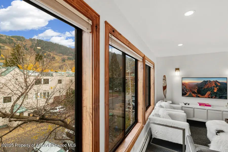 5 of 49 - 725 E Main Street 309, Aspen, CO