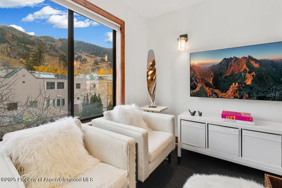 6 of 49 - 725 E Main Street 309, Aspen, CO