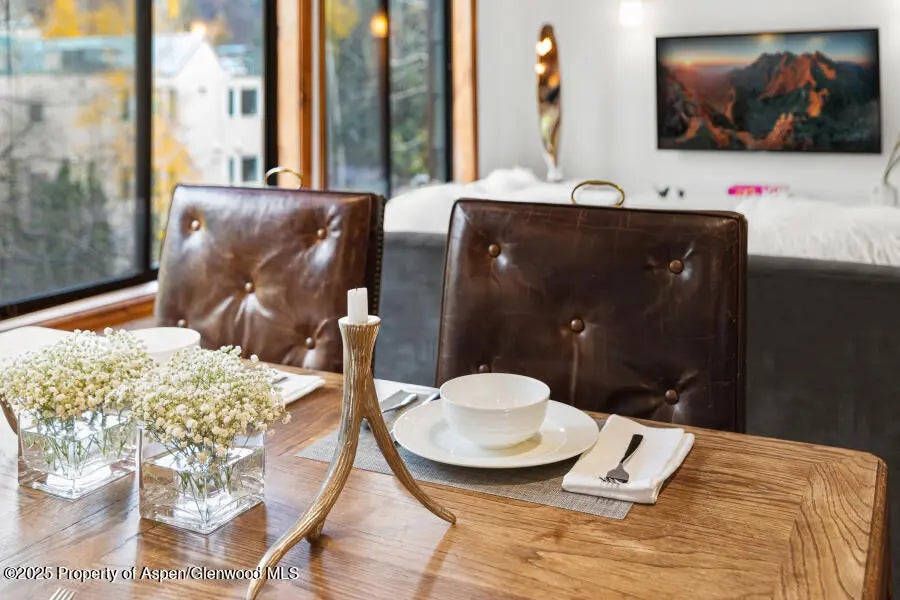 8 of 49 - 725 E Main Street 309, Aspen, CO