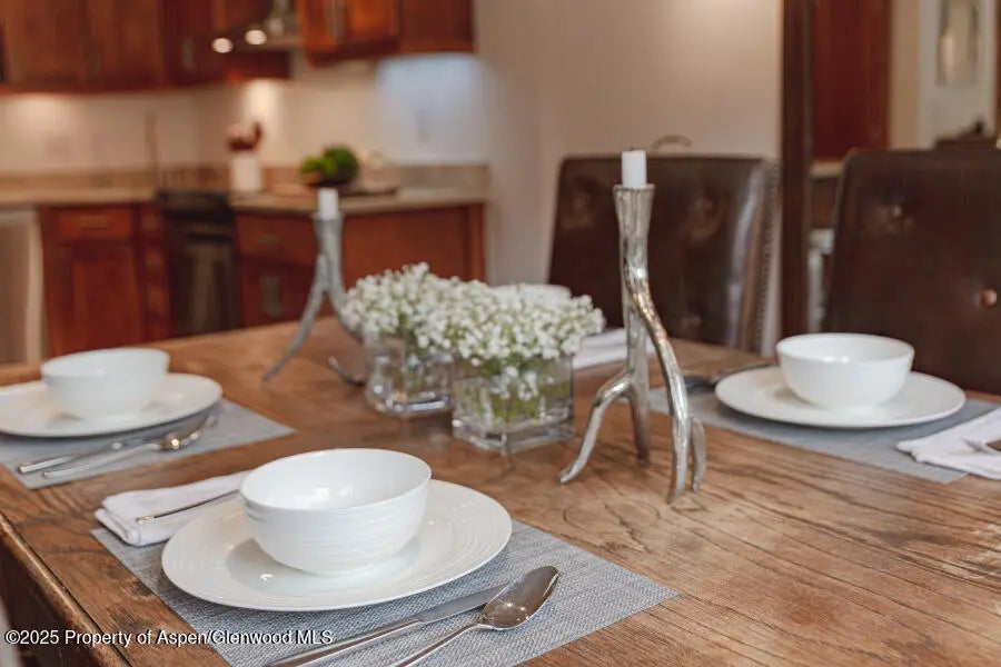 9 of 49 - 725 E Main Street 309, Aspen, CO