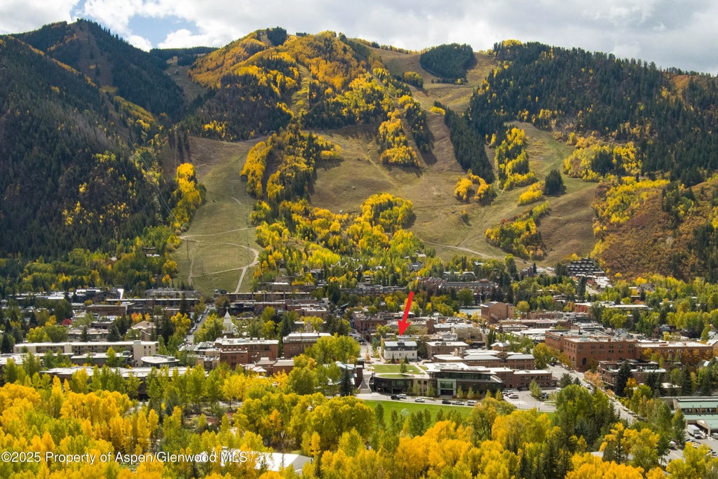 434 E Main Street 102, Aspen