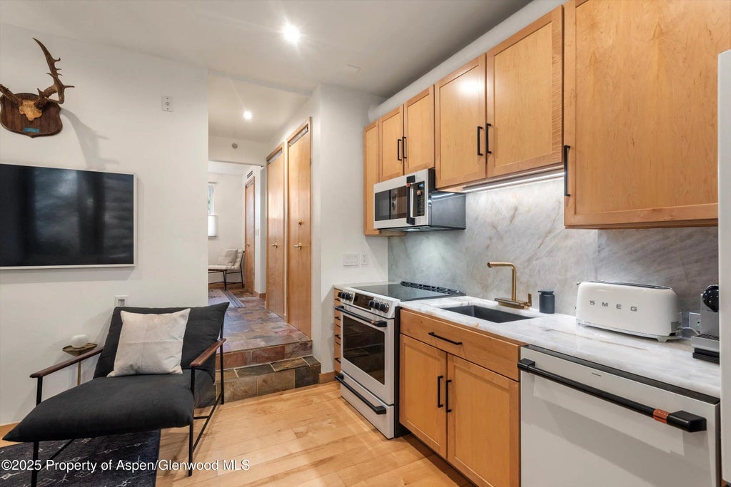 5 of 10 - 434 E Main Street 102, Aspen, CO