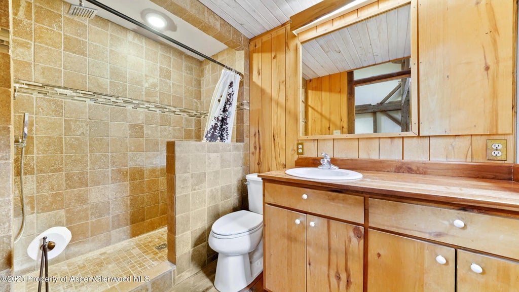 17 of 48 - 1315 Ruedi Creek Road, Basalt, CO