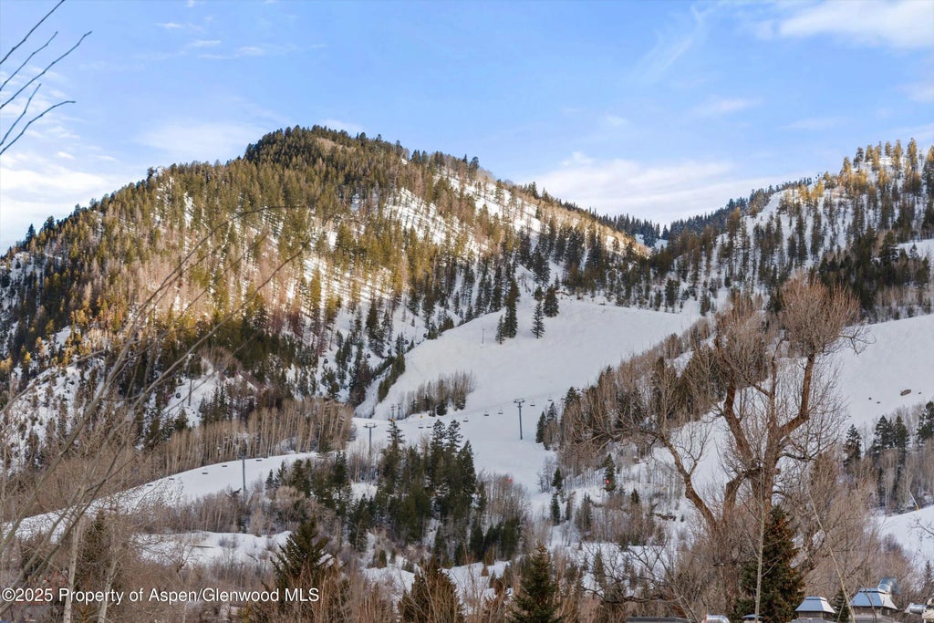 39 of 44 - 304 S Garmisch Street, Aspen, CO