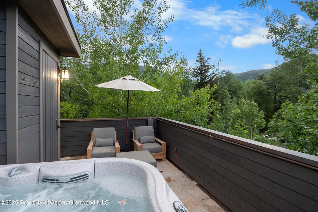 41 of 44 - 304 S Garmisch Street, Aspen, CO