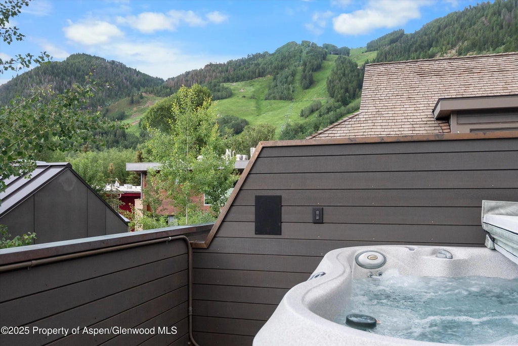 42 of 44 - 304 S Garmisch Street, Aspen, CO