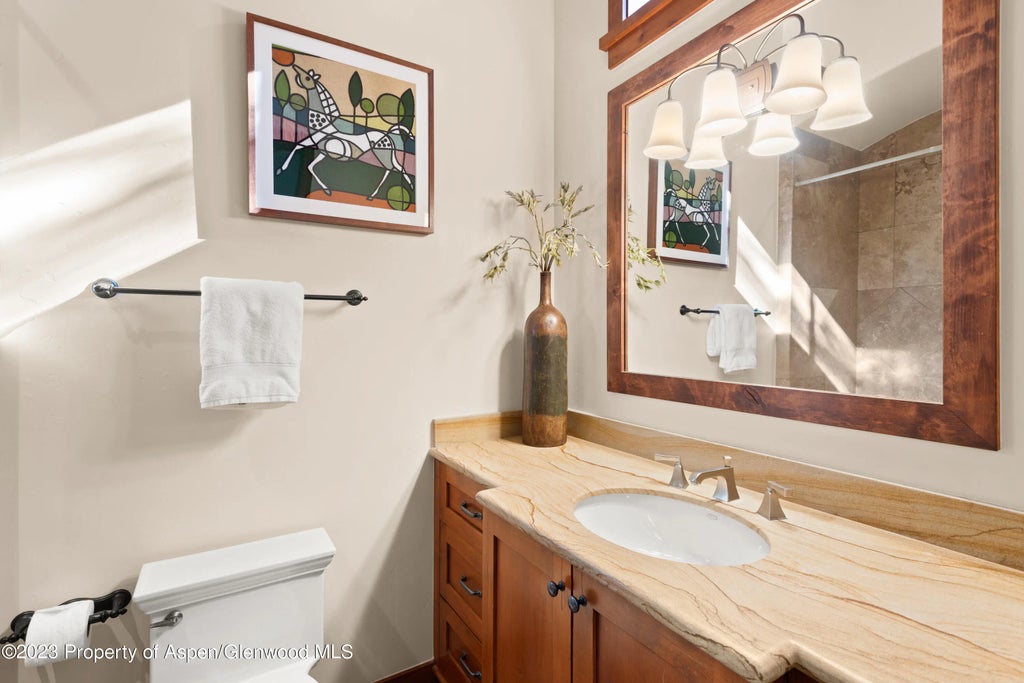 16 of 26 - 105 E Lupine Drive, Aspen, CO