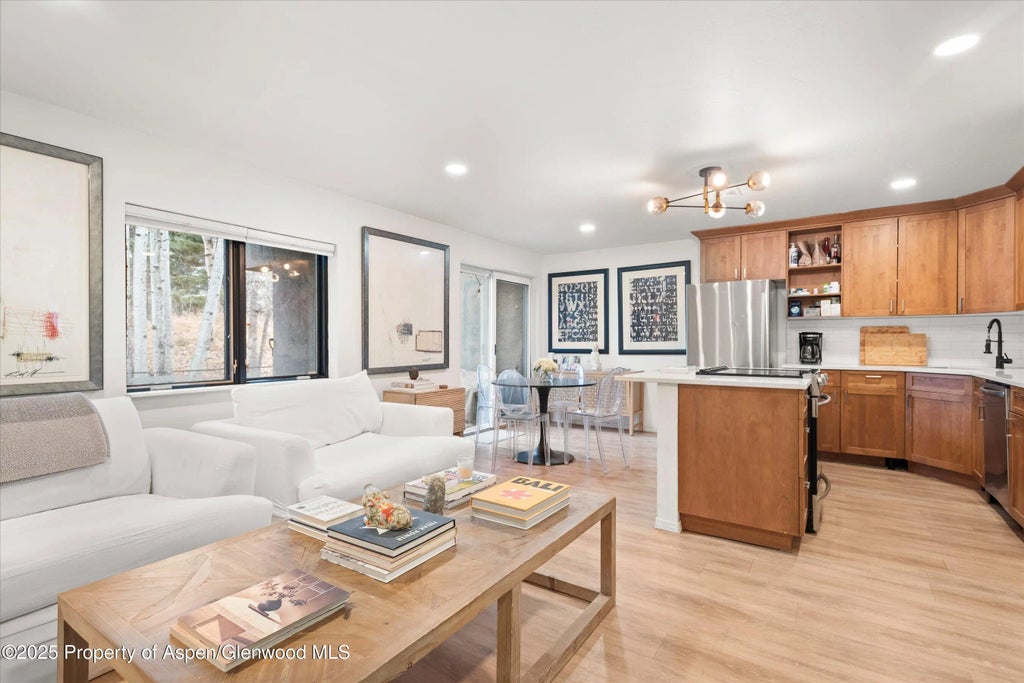 425 Park Circle A2, Aspen
