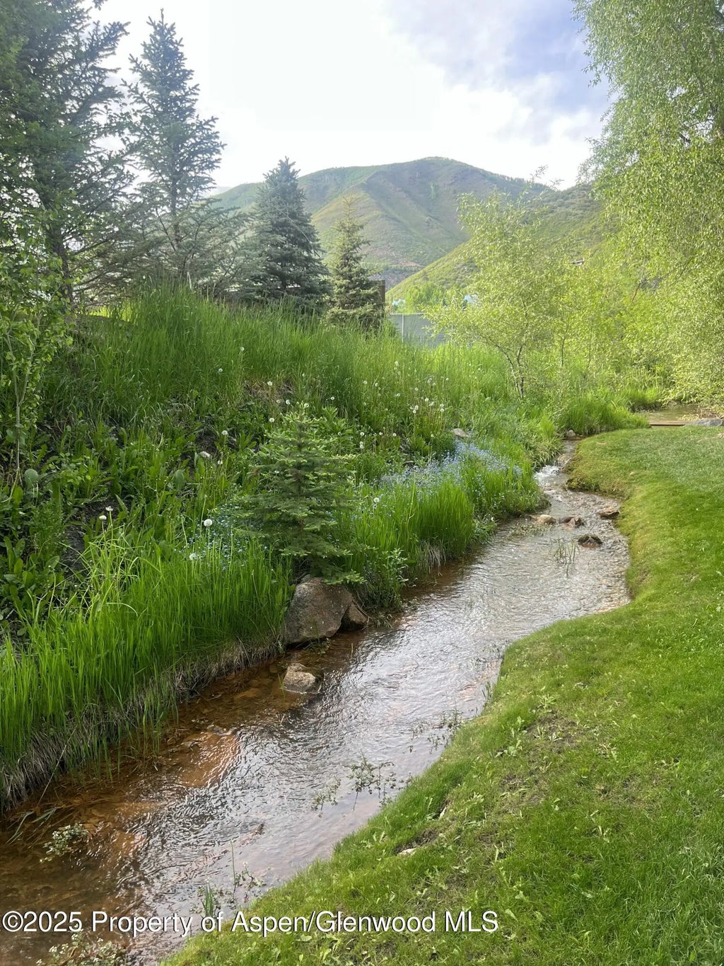 7 of 8 - 425 Park Circle A2, Aspen, CO