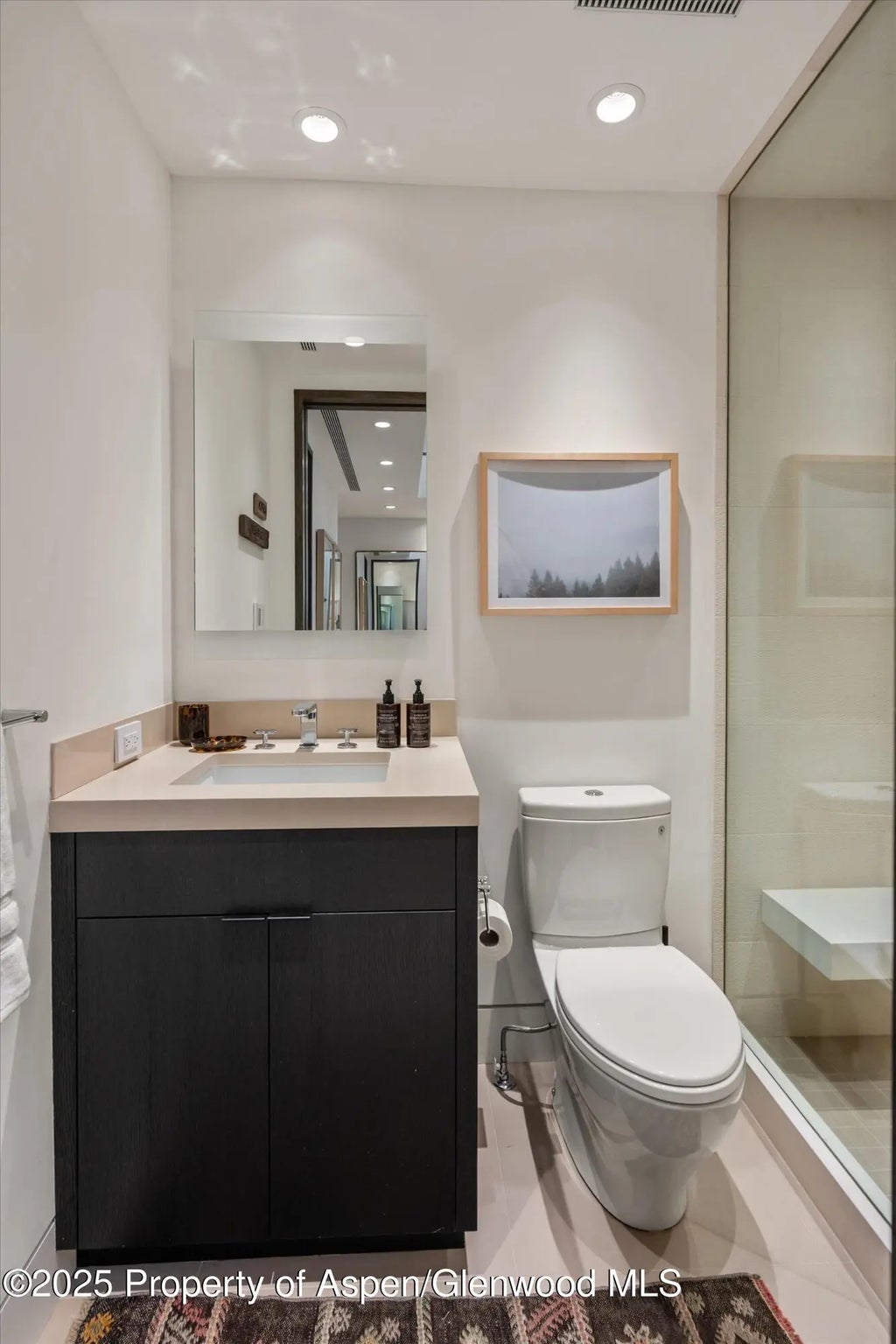 16 of 37 - 155 Lone Pine Road 12, Aspen, CO