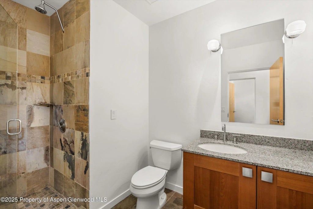 11 of 12 - 231 Robinson Street 226, Basalt, CO