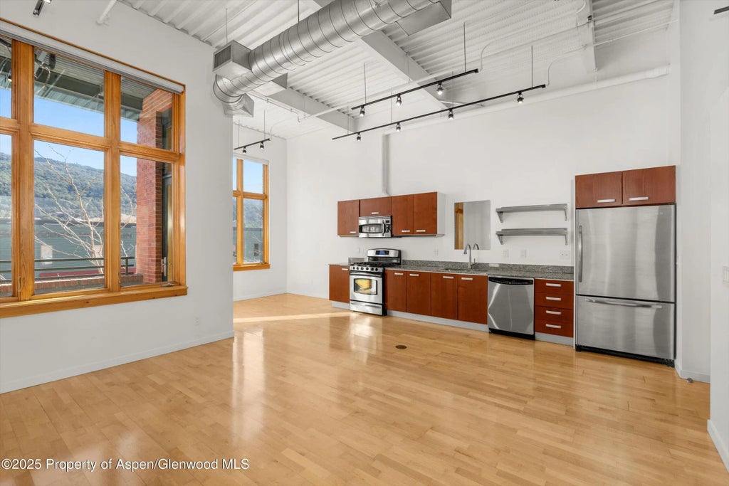 4 of 12 - 231 Robinson Street 226, Basalt, CO