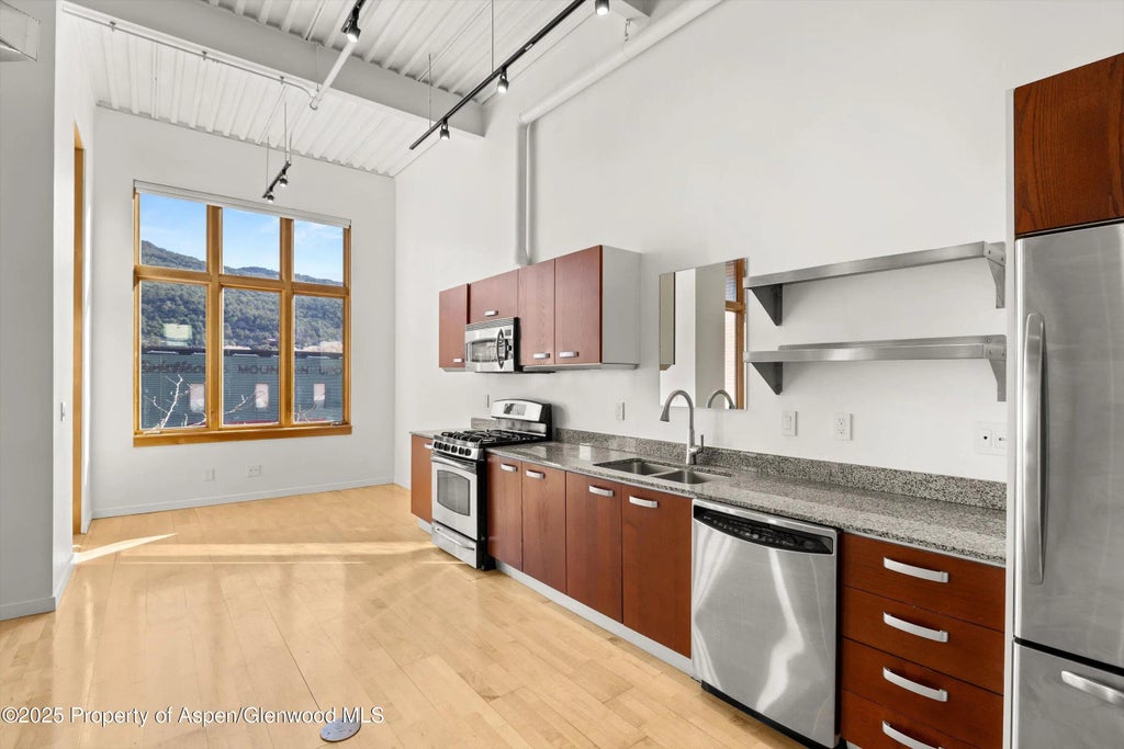 6 of 12 - 231 Robinson Street 226, Basalt, CO